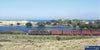Victorian Railways: Echoes of the Blue & Gold (SP-EBG) - Reference