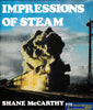 Impressions of Steam -Used- (UBAC-0557H) Reference