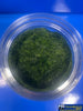 MBB-SG5DG MT Scenery - Static Grass - 5mm 400ml - Dark Green - Scenery