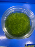 MBB-SG5LG MT Scenery - Static Grass - 5mm 400ml - Light Green - Scenery