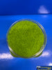 MBB-SG5MG MT Scenery - Static Grass - 5mm 400ml - Medium Green - Scenery