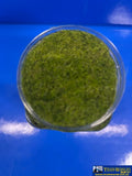 MBB-SG5WILG MT Scenery - Static Grass - 5mm 400ml - Winter Light Green - Scenery