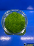 MBB-SG5WLG MT Scenery - Static Grass - 5mm 400ml - Wild Green - Scenery