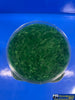 MBB-SG8EG MT Scenery - Static Grass - 8mm 400ml - Emerald Green - Scenery