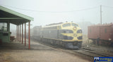 Victorian Railways: Echoes of the Blue & Gold (SP-EBG) - Reference