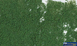 Woo-F53 Woodland Scenics Bag Foliage Dark-Green Scenery