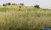Woo-Fs623 Woodland Scenics Bag Static-Grass Flock Light-Green (7Mm Length) Scenery