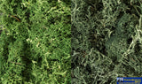 Woo-L168 Woodland Scenics Bag Lichen Dark-Green Mix Scenery