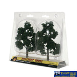 Woo-Tr1514 Woodland Scenics Realistic-Trees Dark-Green (2) 127-152Mm (5-6) Height Scenery