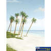 Woo-Tr1617 Woodland Scenics Premium-Trees Royal-Palm (3) 76.2/101/114Mm (3/4/4.5) Height Scenery