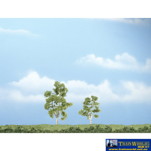 Woo-Tr1603 Woodland Scenics Premium-Trees Sycamore (2) 57.1/76.2Mm (2.25/3) Height Scenery