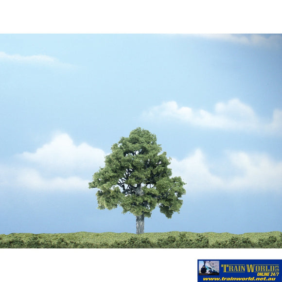Woo-Tr1615 Woodland Scenics Premium-Trees Beech (1) 101Mm (4) Height Scenery